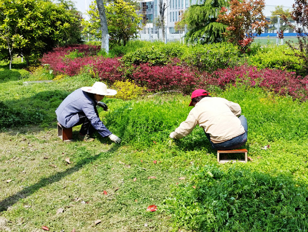 綠化養護